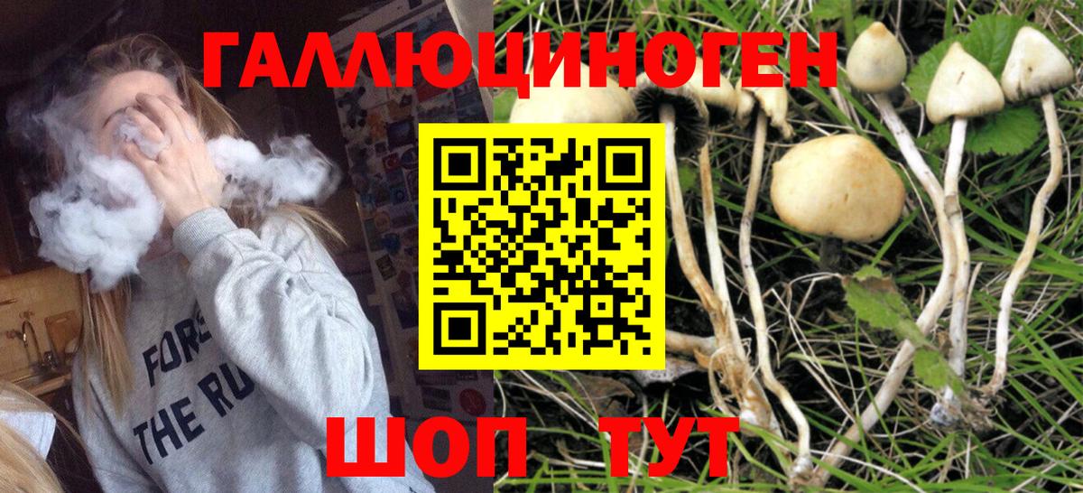 Галлюциногенные грибы ЛСД  Вход с VPN  Котлас 