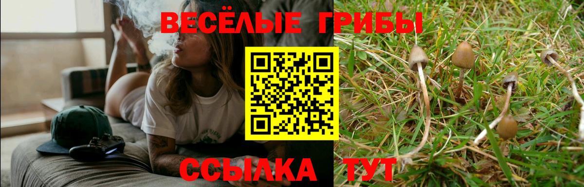 Псилоцибиновые грибы Magic Shrooms Котлас